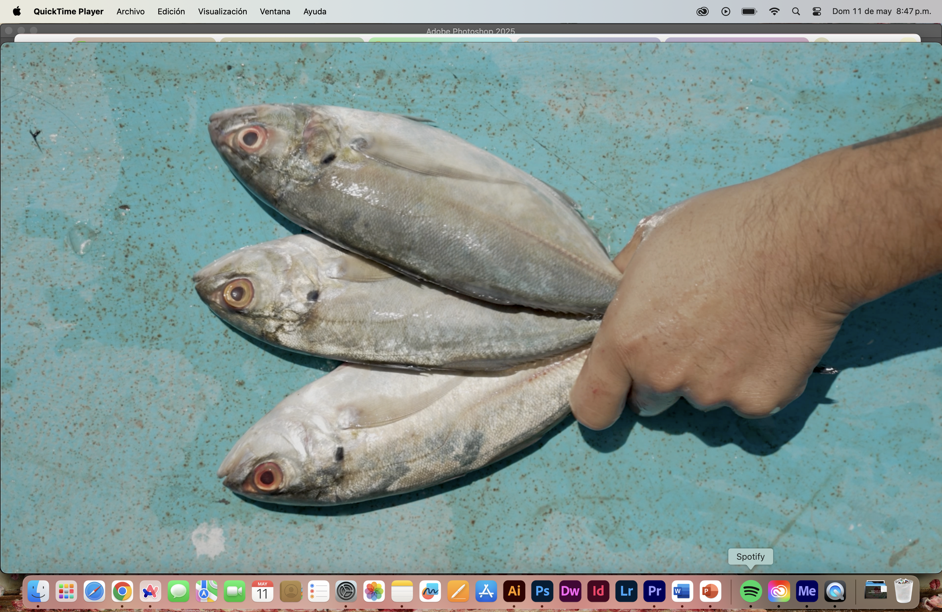 Pensemo en nuestros peces